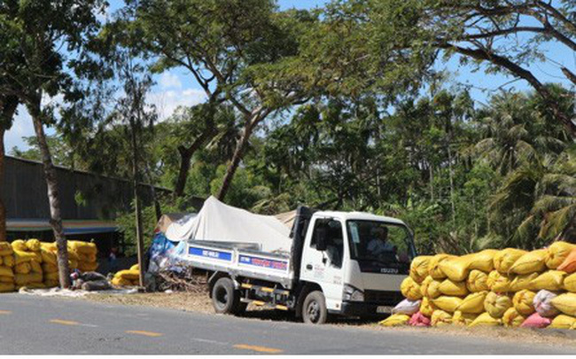 Cần có tầm nhìn và thích ứng trong sản xuất và tiêu thụ để không phải “giải cứu” lúa gạo như những năm qua (31/3/2019)